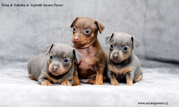Secure Power