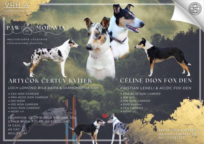 Paw of Moravia