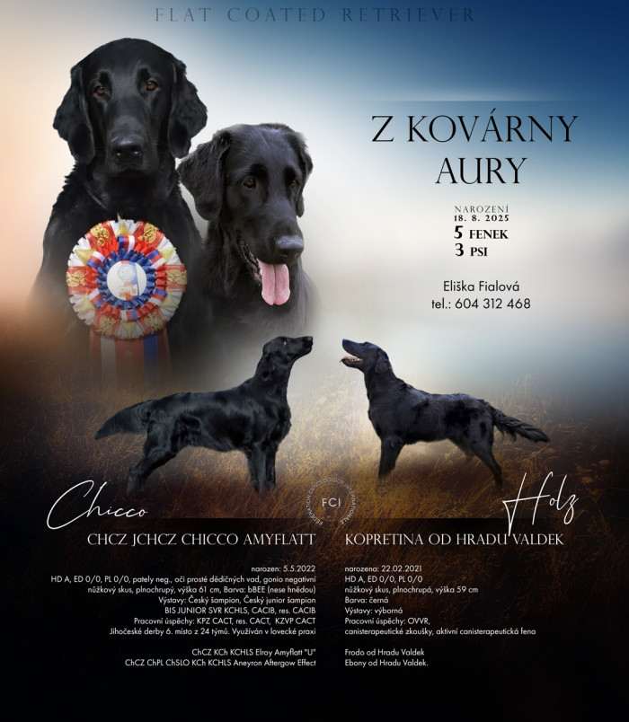 Z kovárny aury