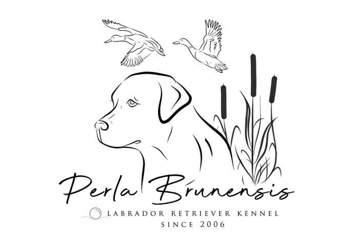 Perla Brunensis