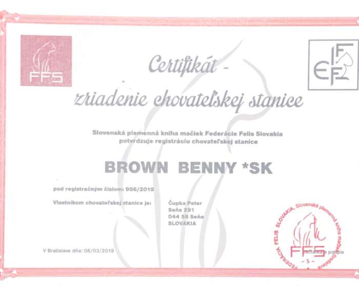 Brown Benny sk