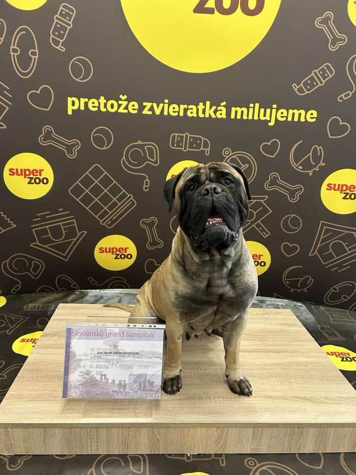 Timdoghaus