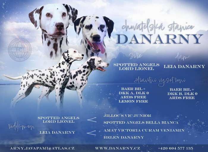 Danarny
