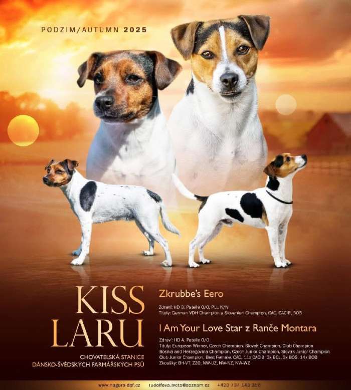 Kiss Laru