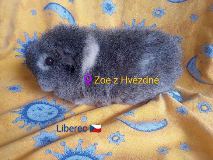 Z Hvězdné Liberec