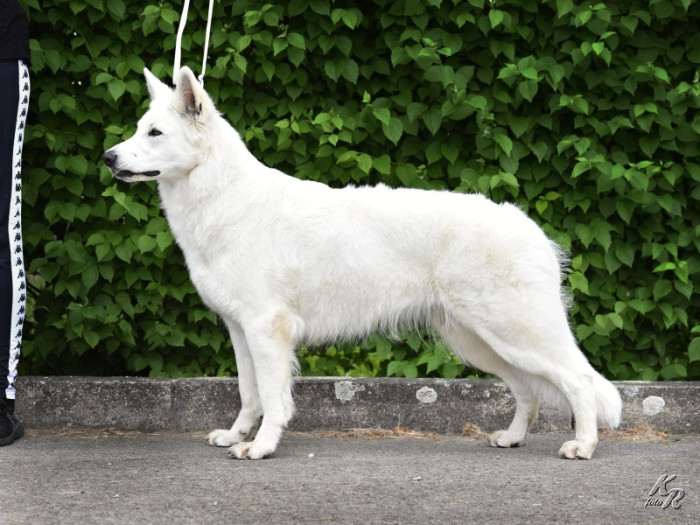 Z Údolí Bílých andělů