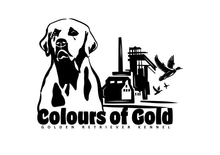 Colours of Gold