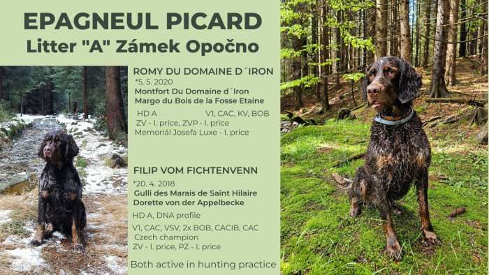 Zámek Opočno