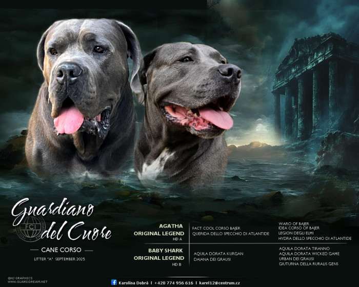 Guardiano del Cuore