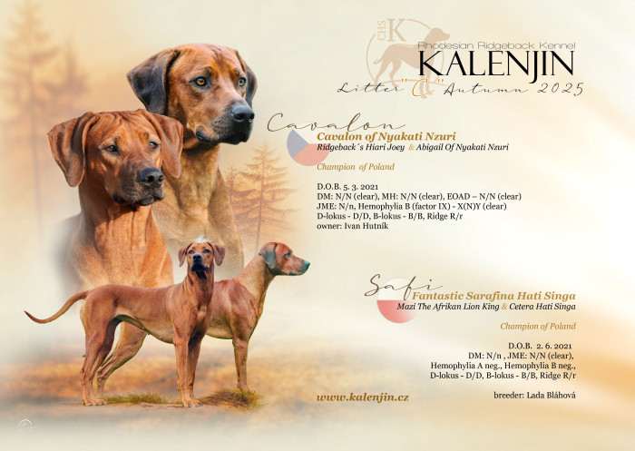 Kalenjin