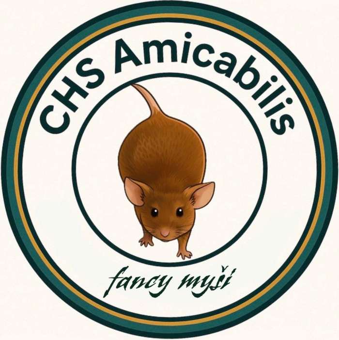 Amicabilis