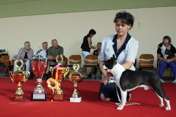 zakladatel nášho chovu,2x Svet.Víťaz,EU Víťaz,Klub Champion,Champion SK,HU,ČR,Inter Ch.AX Dagbej