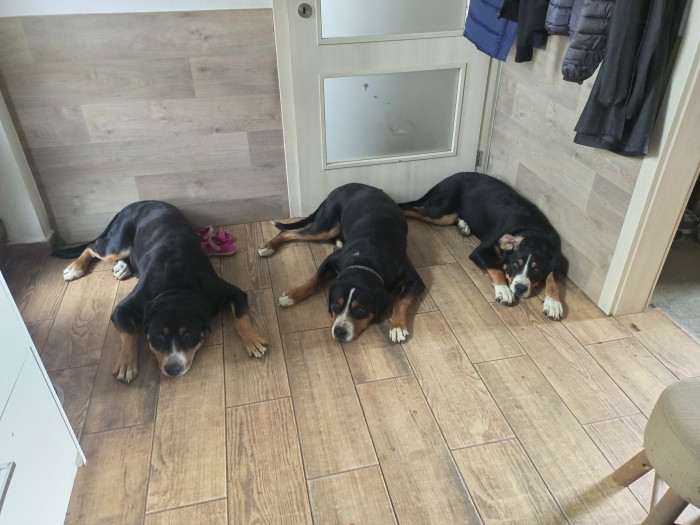 Z farmy Šťastných