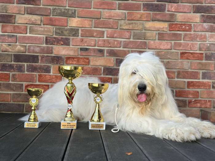 Warnawa Rajton-Bost klubový vítěz 2025