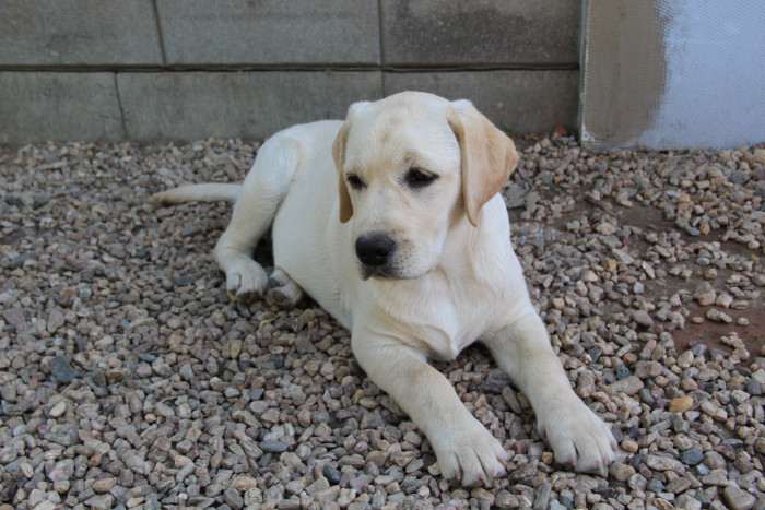 Pod Žerčickým kostelem