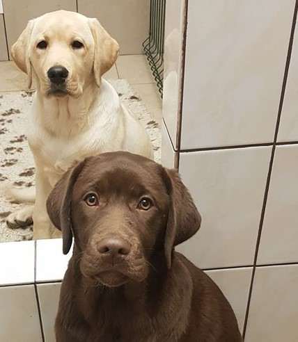 Pod Žerčickým kostelem