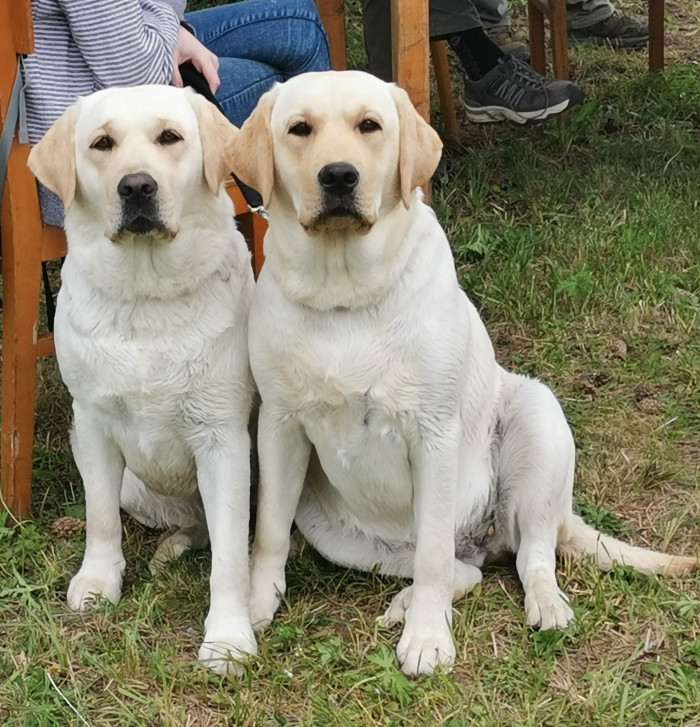 Pod Žerčickým kostelem
