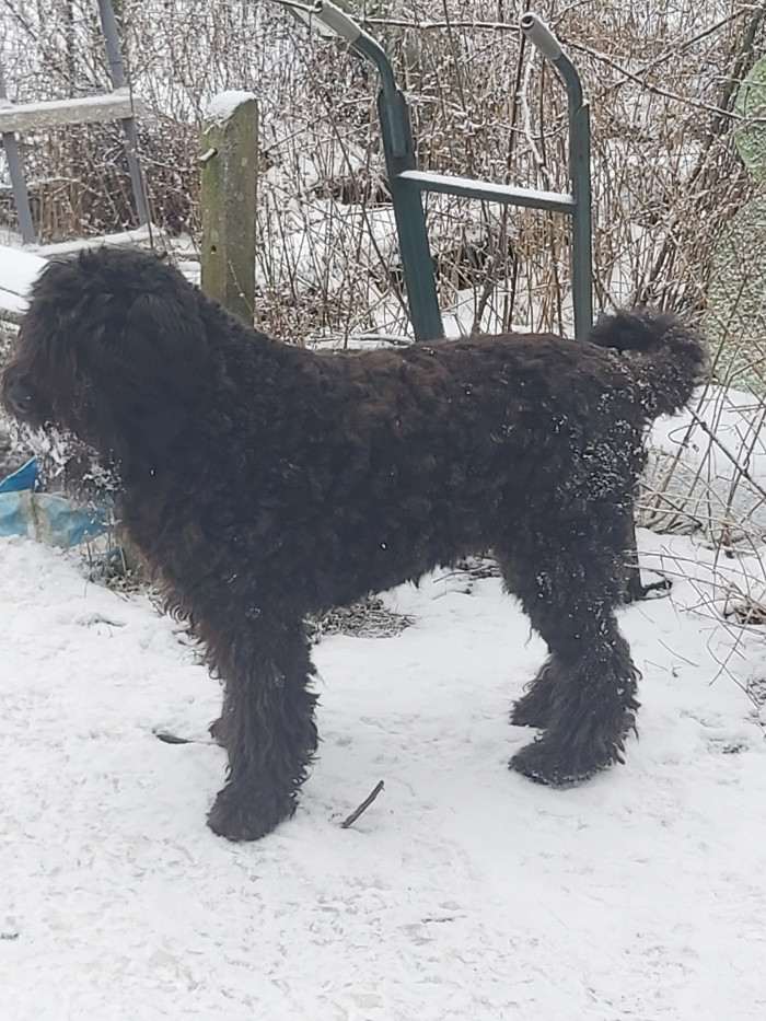 Cetty od Větrné elektrárny