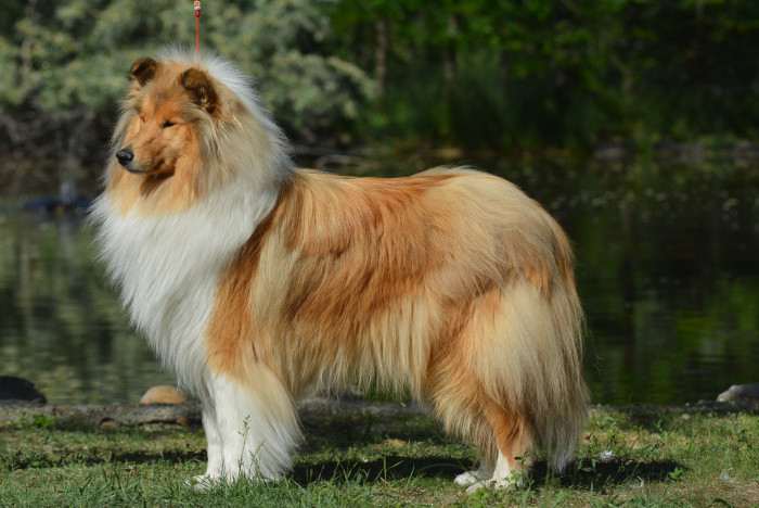 Stonehaven Pride No One Else