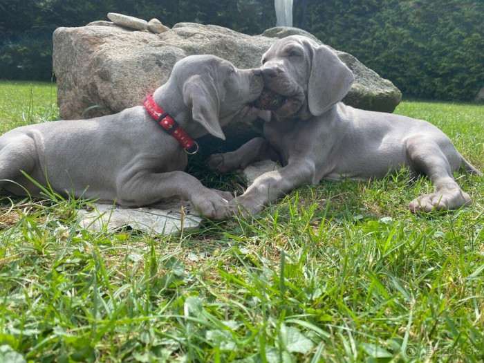 From Schwarzenberg park CZ