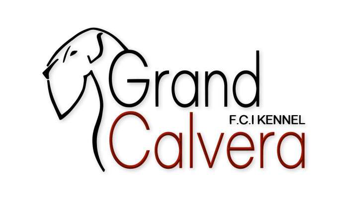 Grand calvera f. c. i.