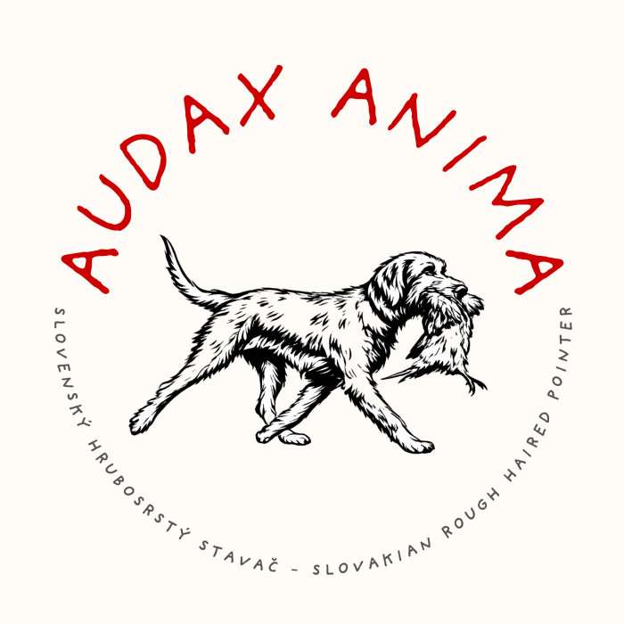 Audax Anima