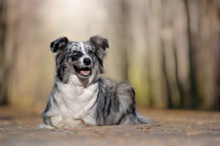 Elodie Jussil Dunnottar