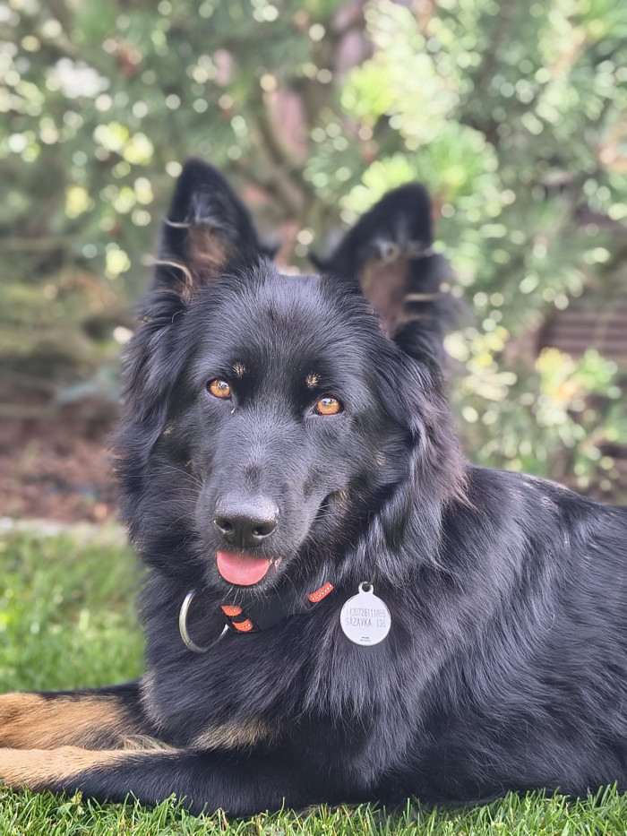 Ze Smrdovských vrchů