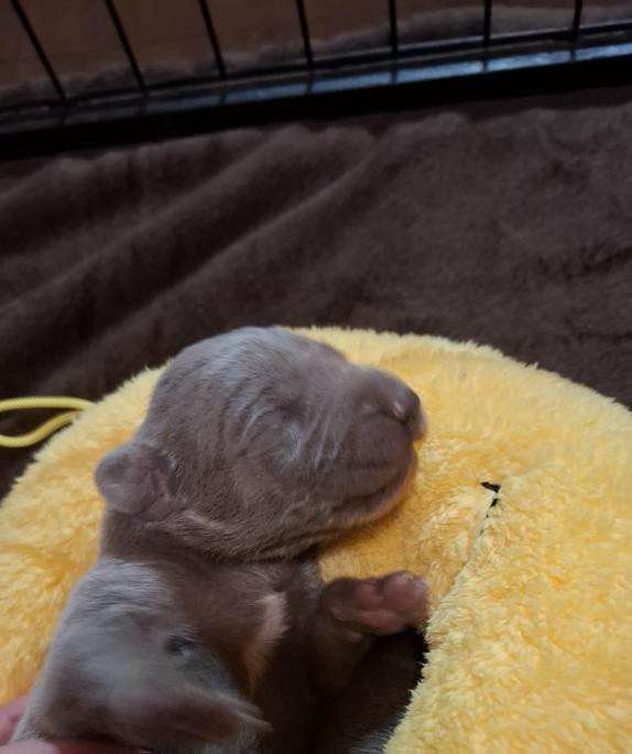 Stále baštíme a spinkáme