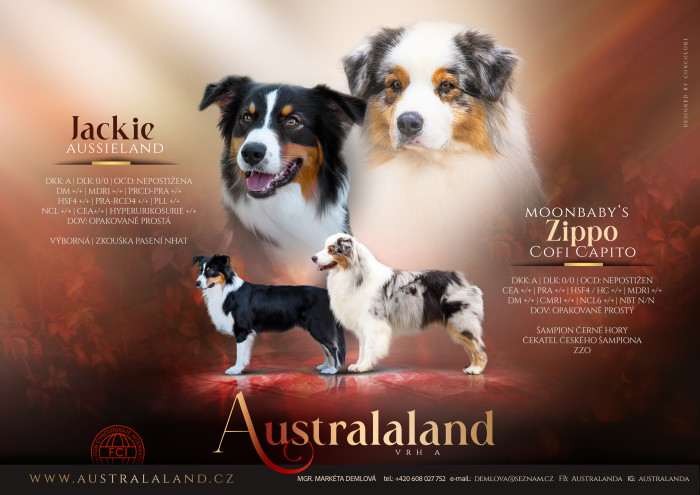 Letáček vrhu A Australaland