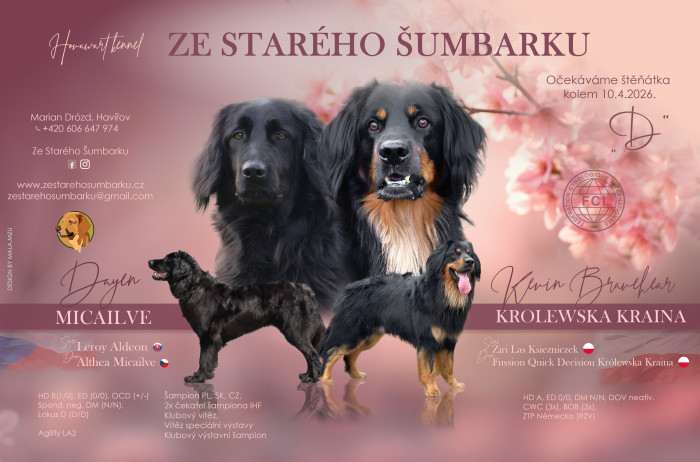 Ze starého Šumbarku