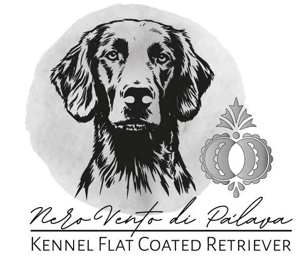 NeroVento di Pálava