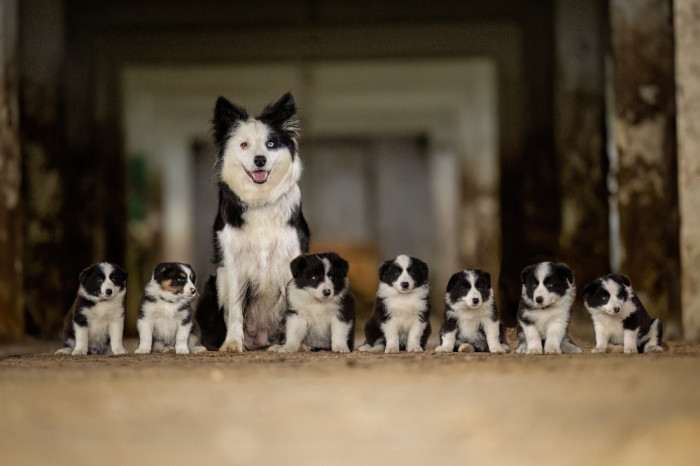 CH.S. ze Žahourova statku