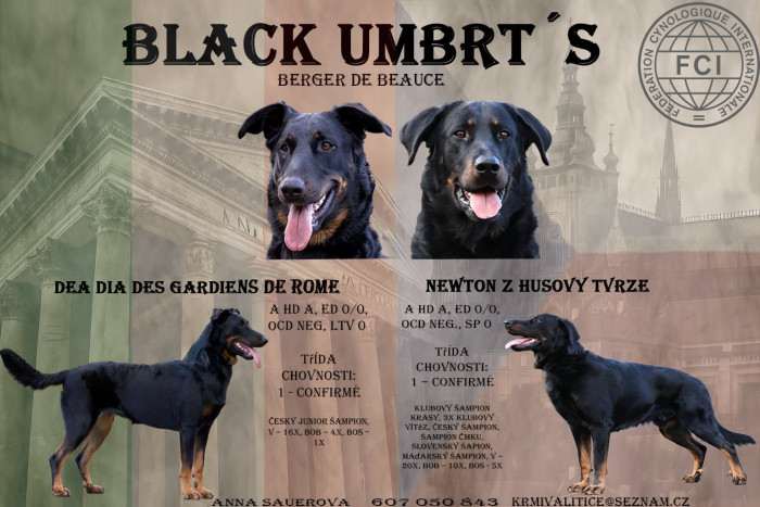 Black Umbrt's