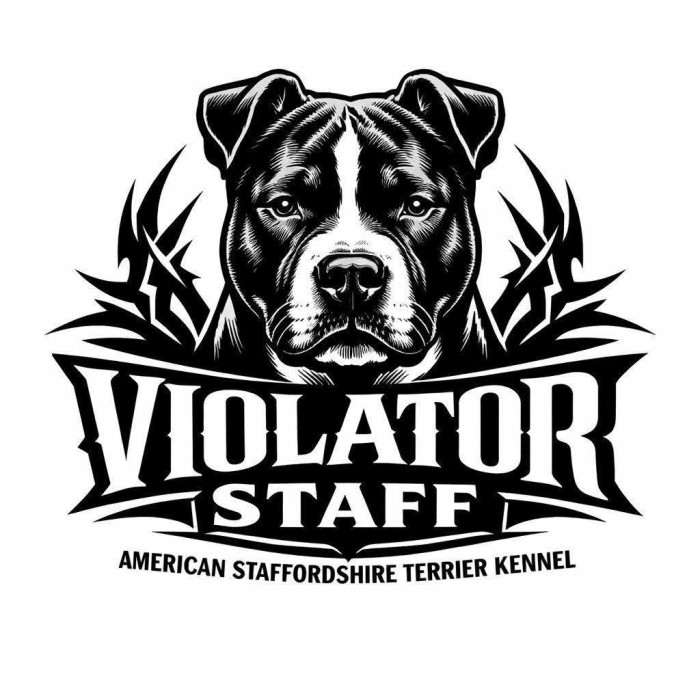 Violator Staff