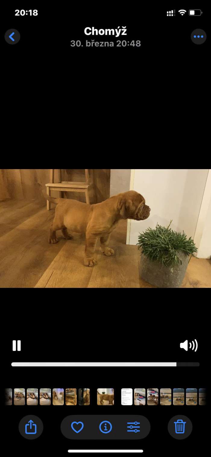 Bordó z Hostýnských vrchů