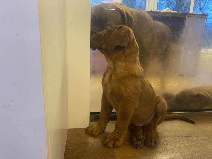 Bordó z Hostýnských vrchů