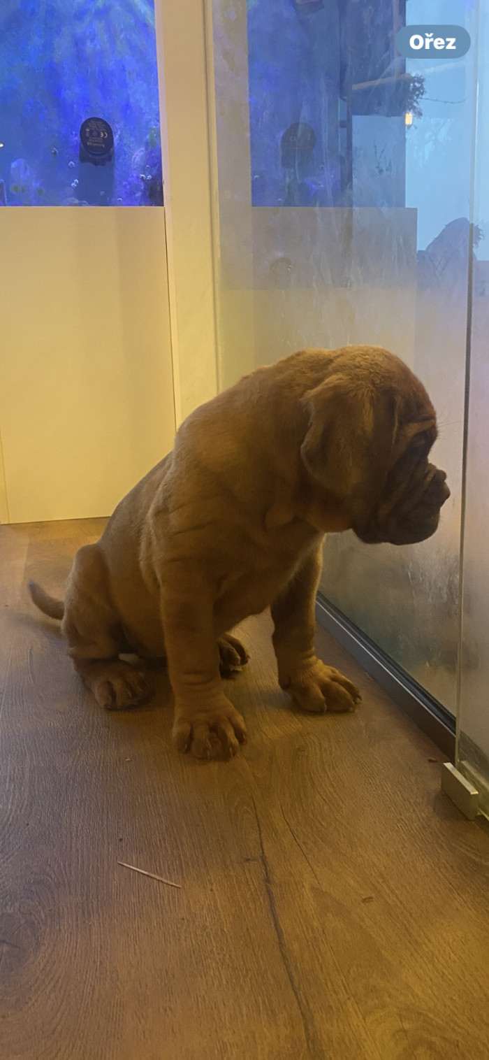 Bordó z Hostýnských vrchů