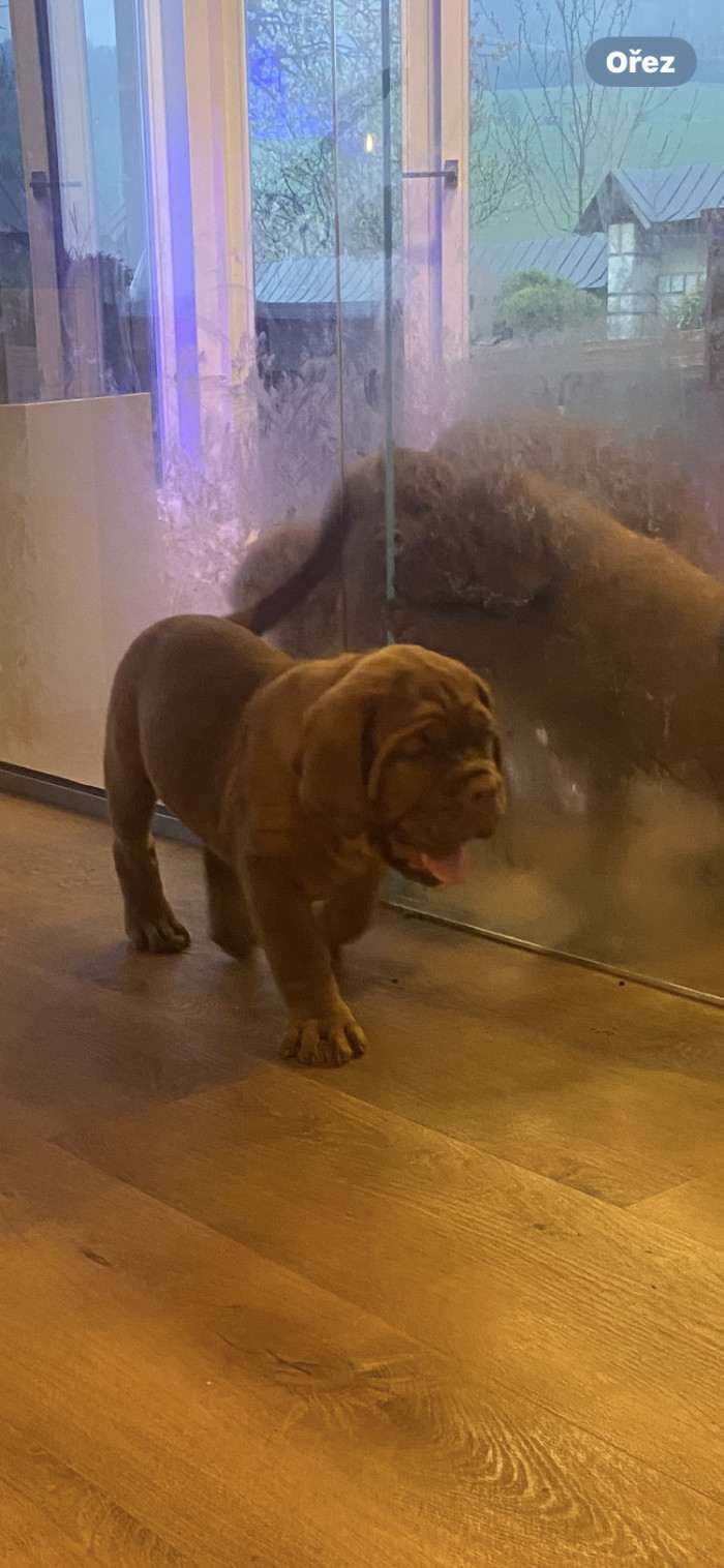 Bordó z Hostýnských vrchů