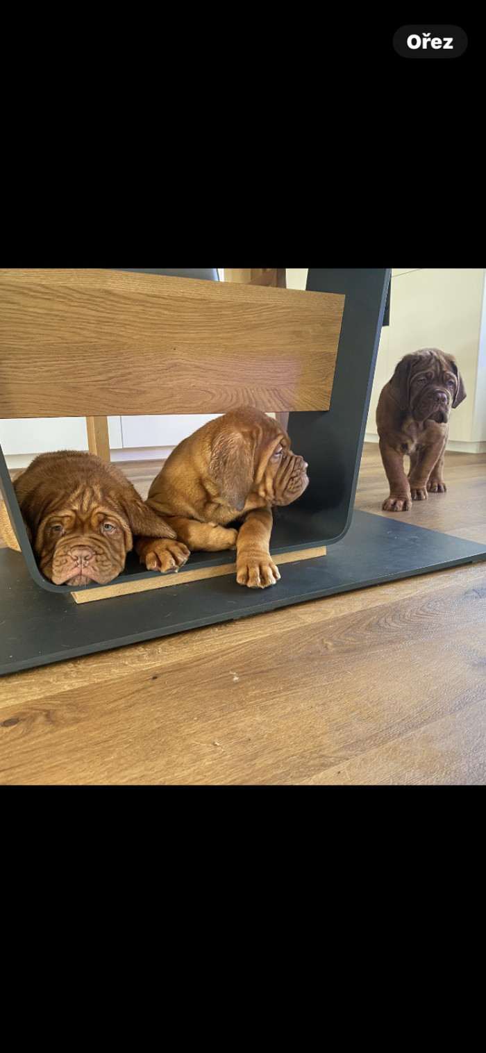 Bordó z Hostýnských vrchů