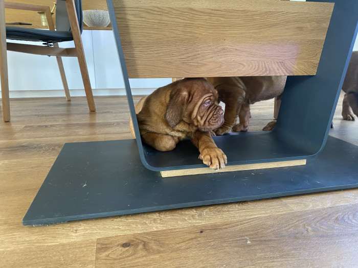 Bordó z Hostýnských vrchů