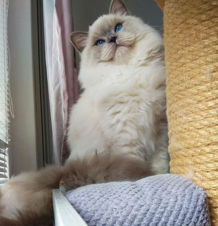 Tulia Jantario Wittek