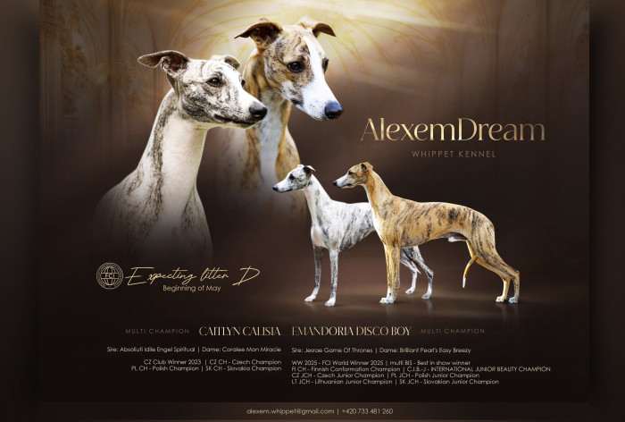 AlexemDream