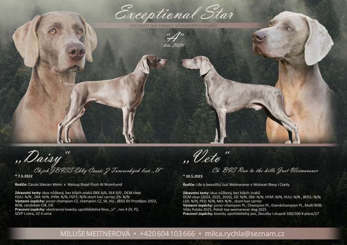 Exceptional Star