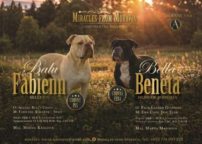 Miracles from Moravia