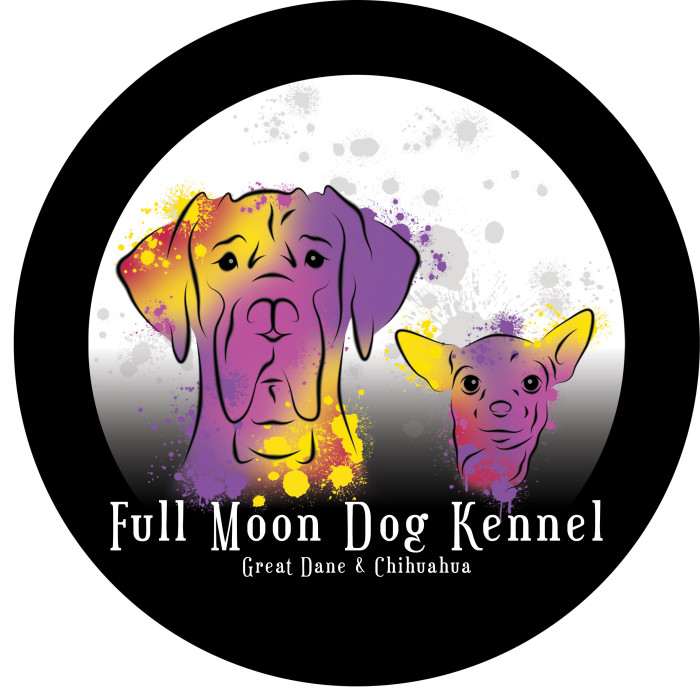 Full Moon Dog