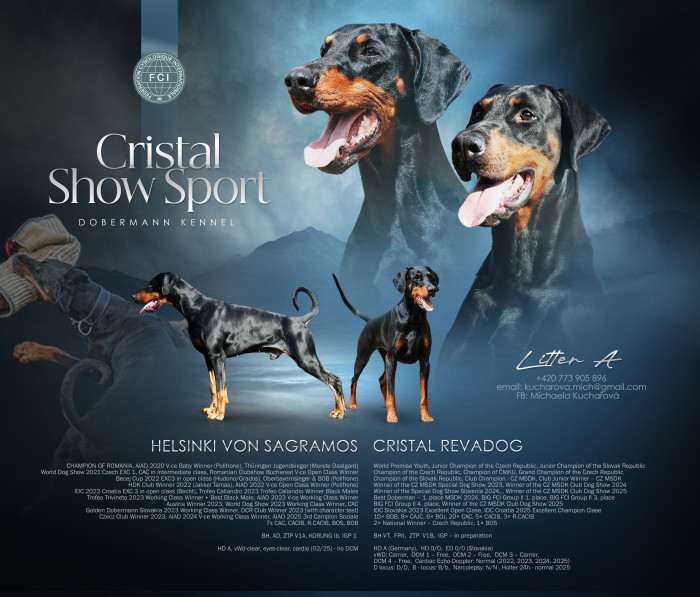 Cristal Show Sport