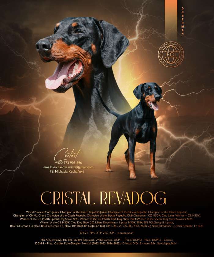 Cristal Show Sport