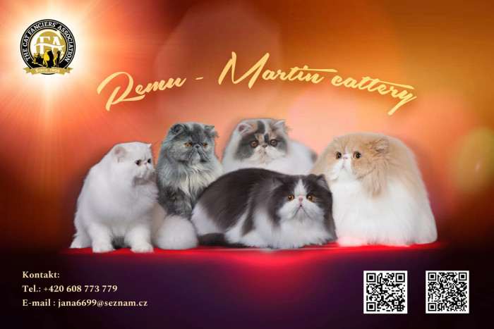 Remu-Martin