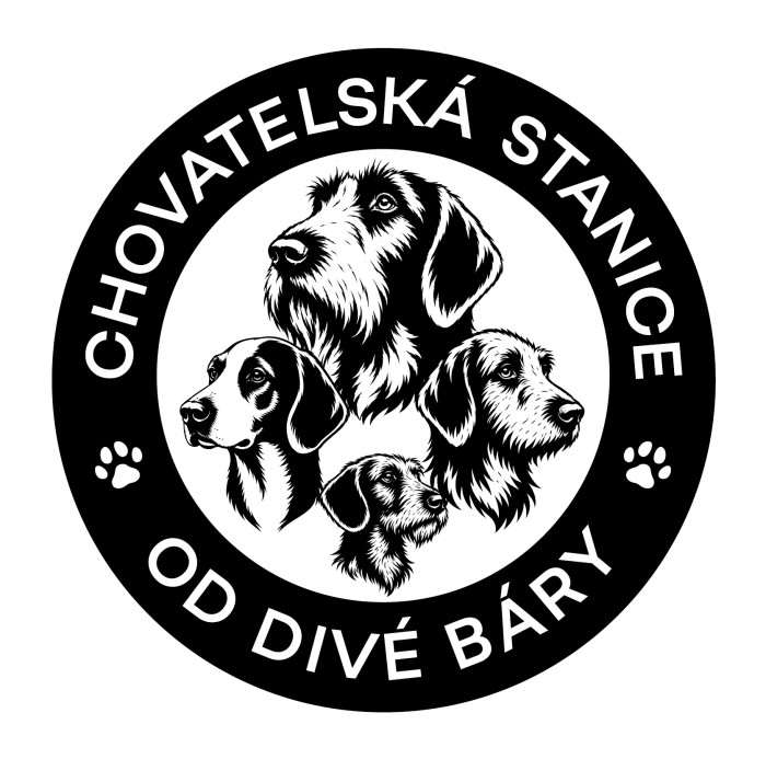 Od Divé Báry